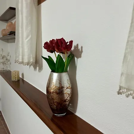 Relax House & Garden * Capitana